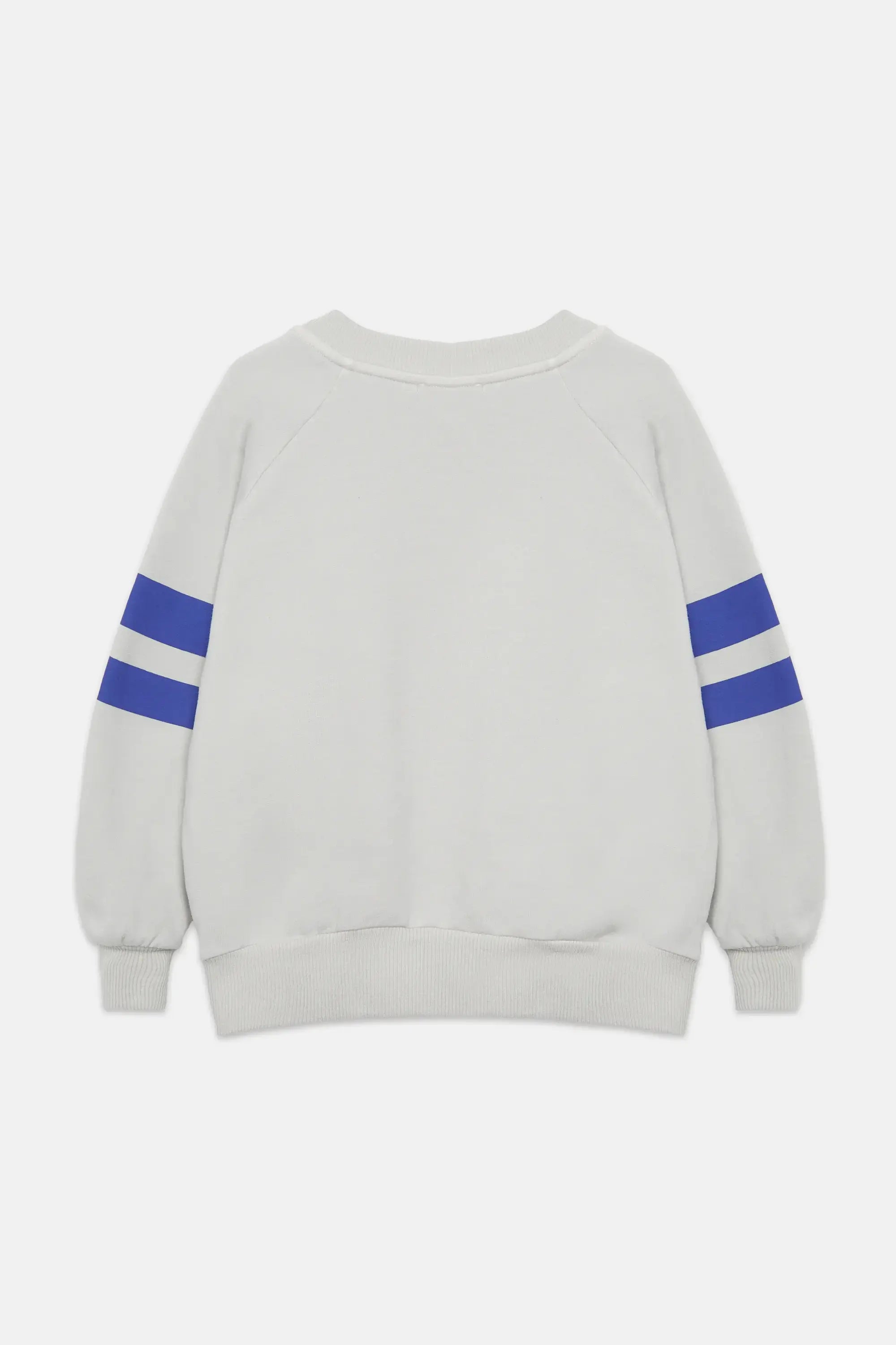 Winter garden stripes sweatshirt