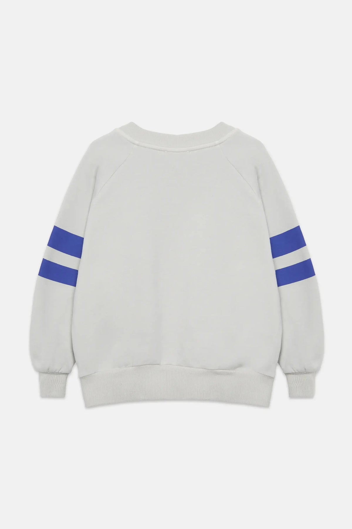 Winter garden stripes sweatshirt