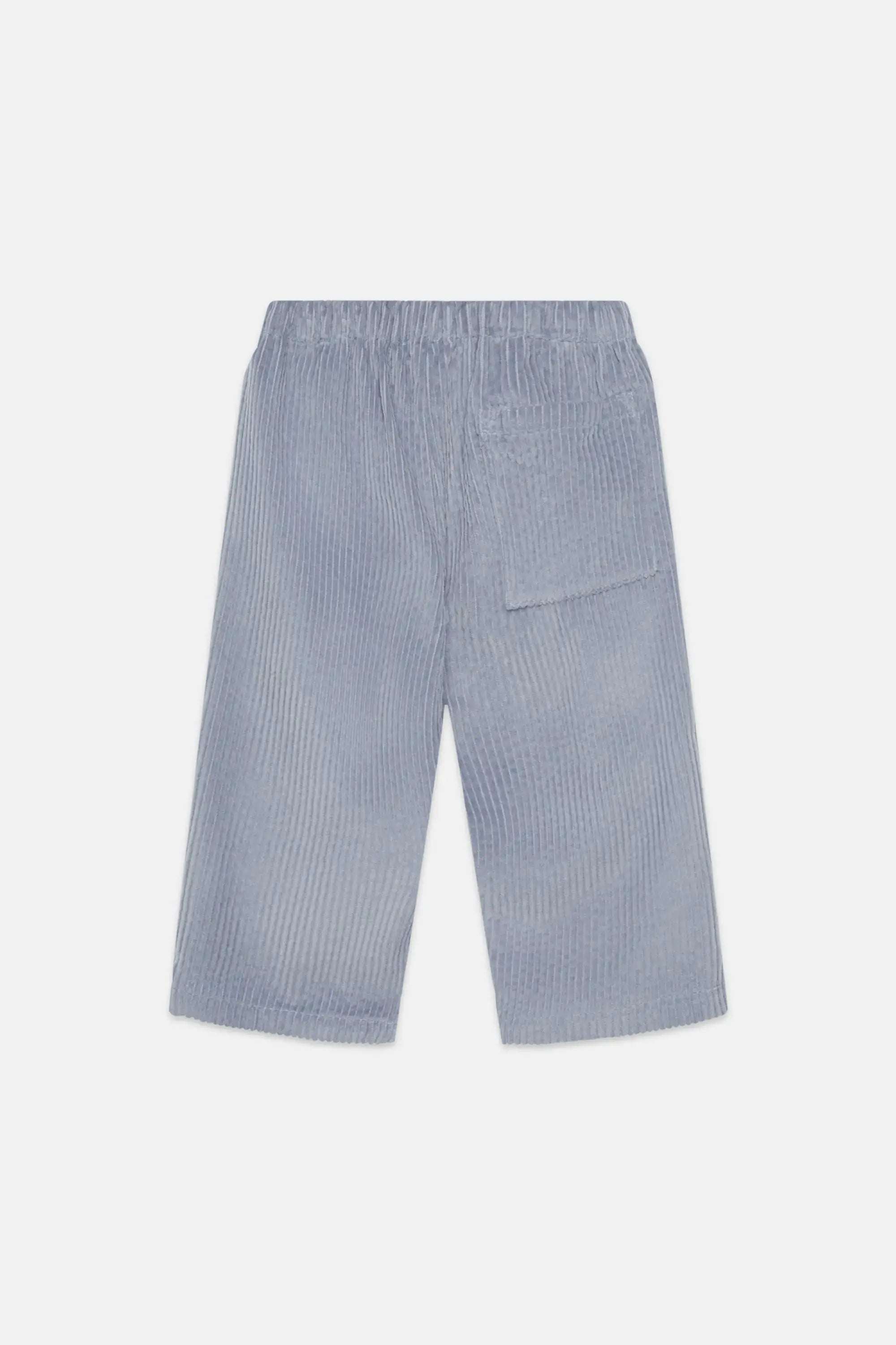 Blue Dog corduroy baby pants