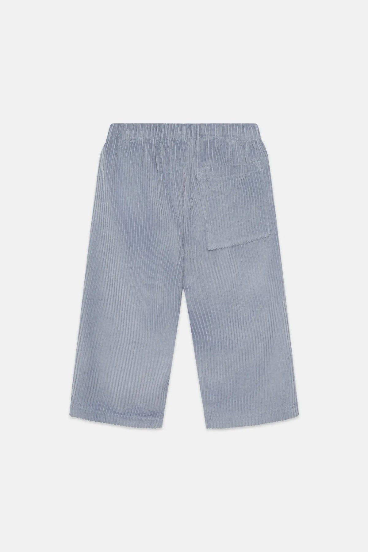 Blue Dog corduroy baby pants