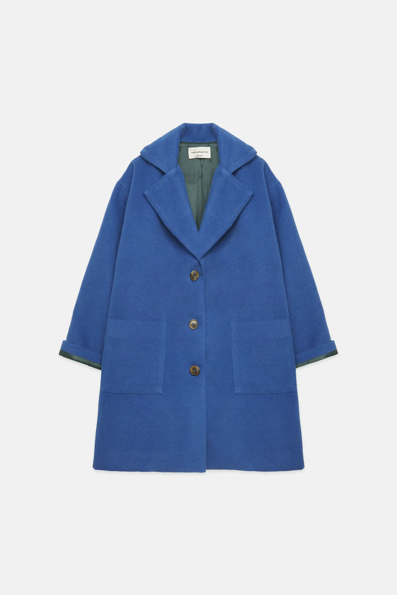 Blue dog coat