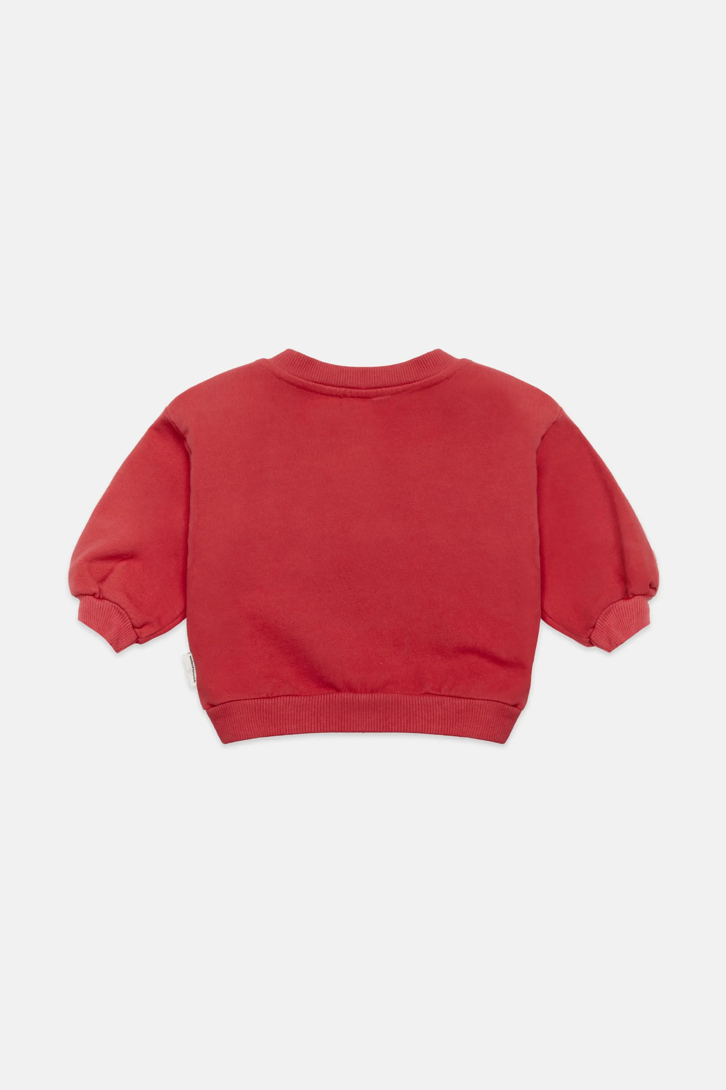 Apple kid sweatshirt