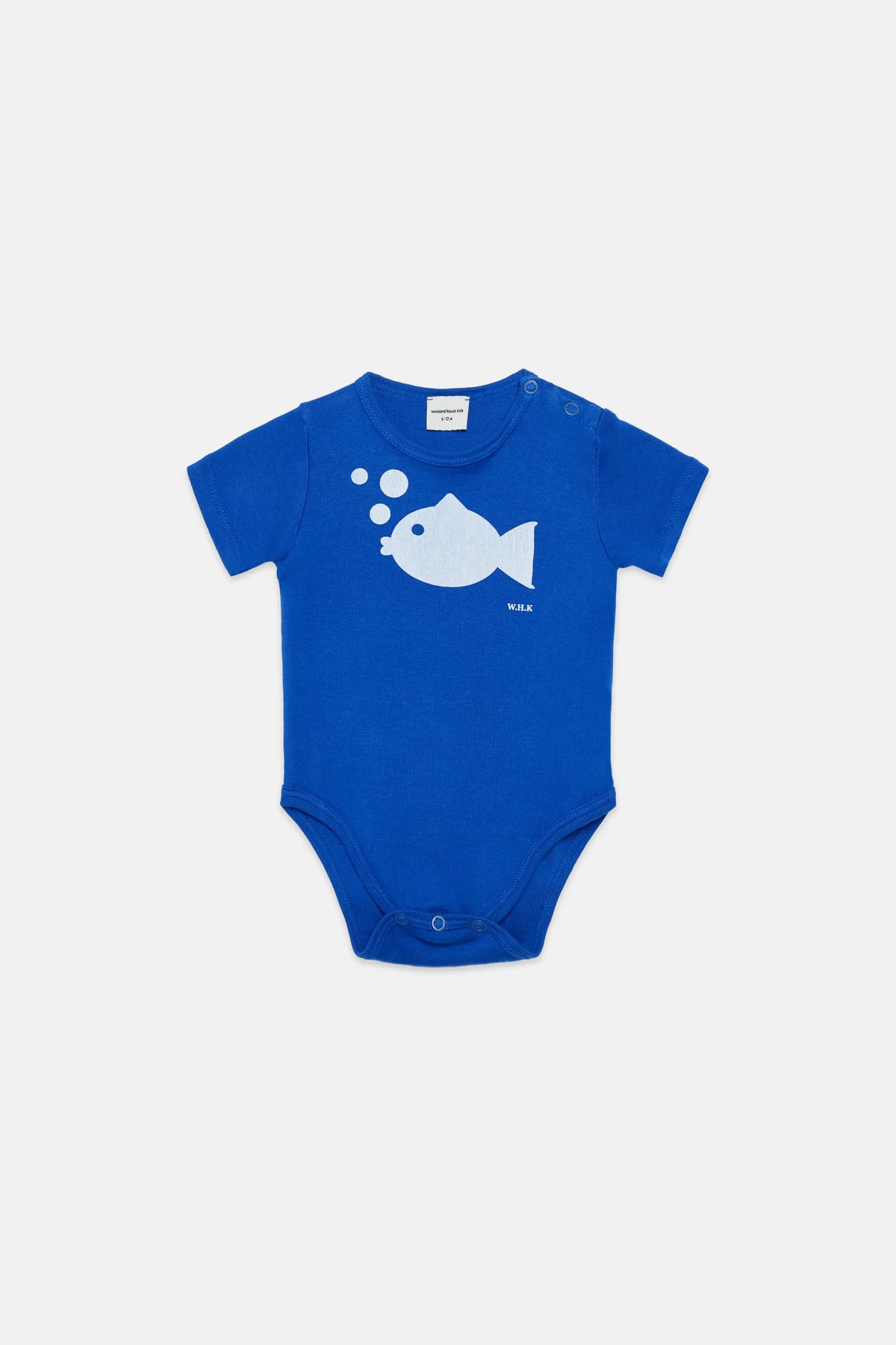 Fish shape body
