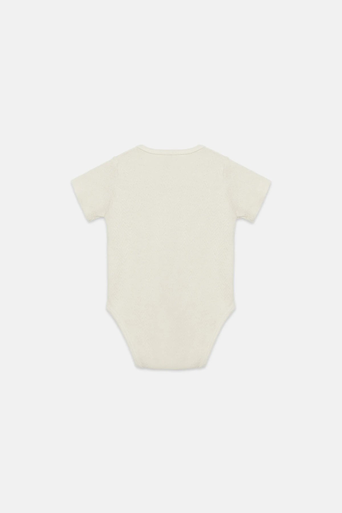 Little star body