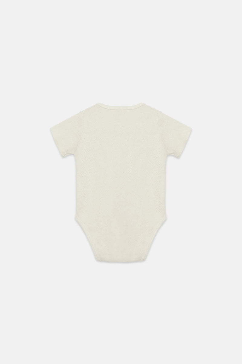 Little star body