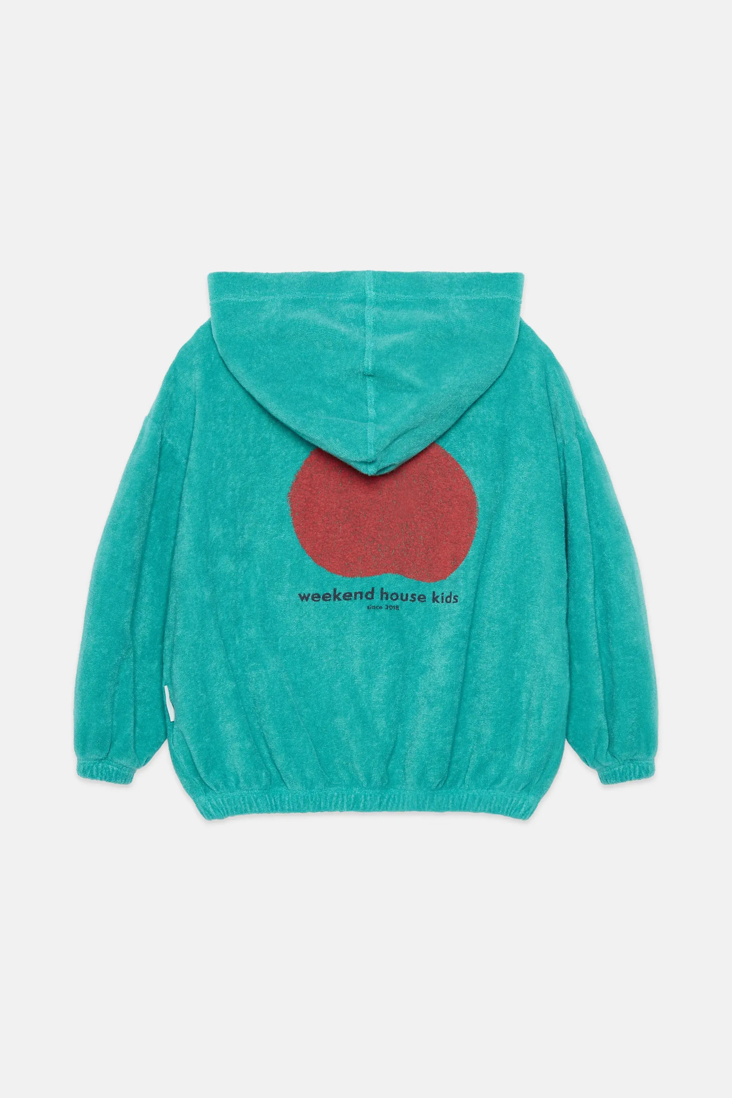 Apple hoodie