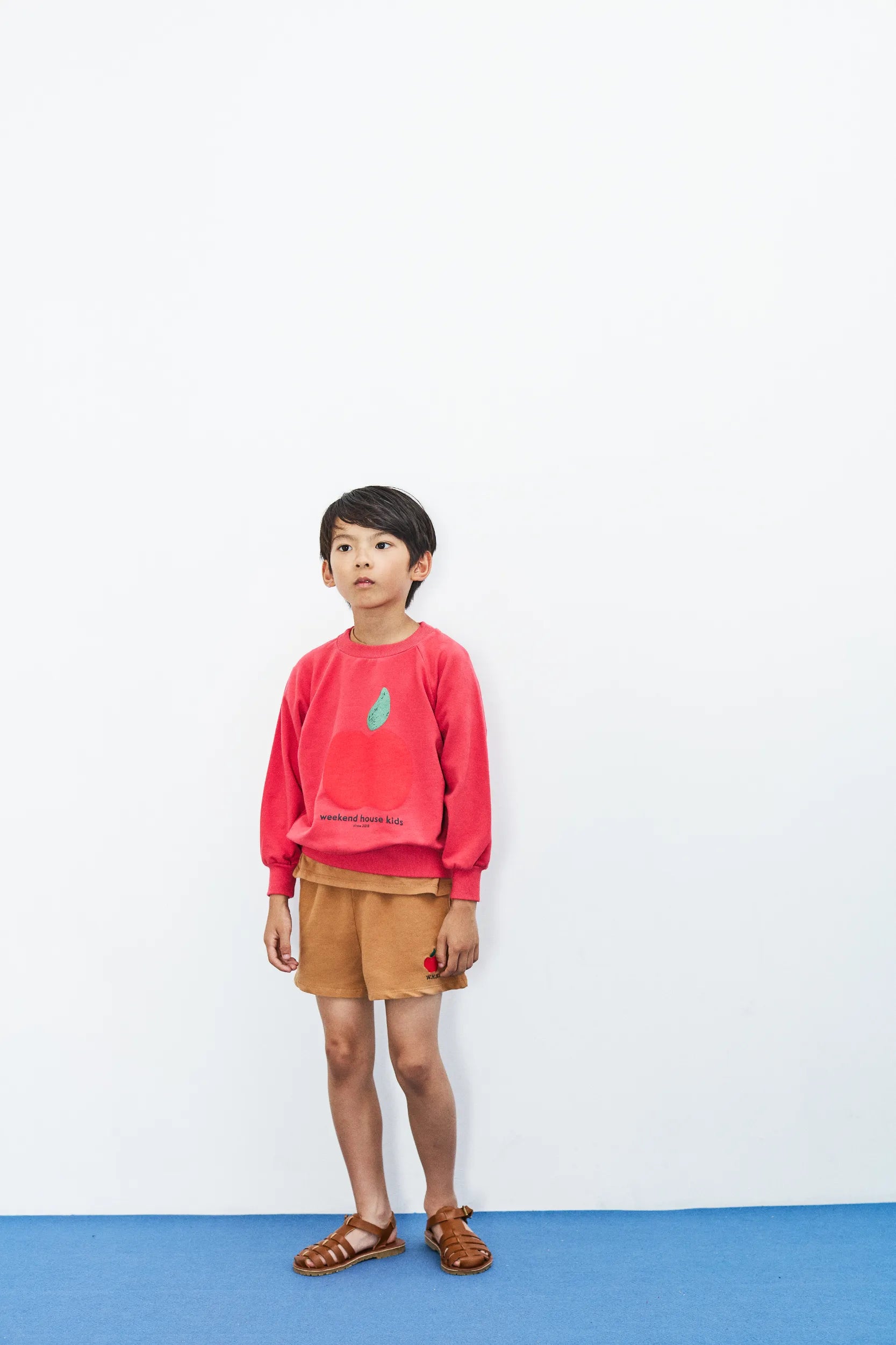 Apple sweatshirt