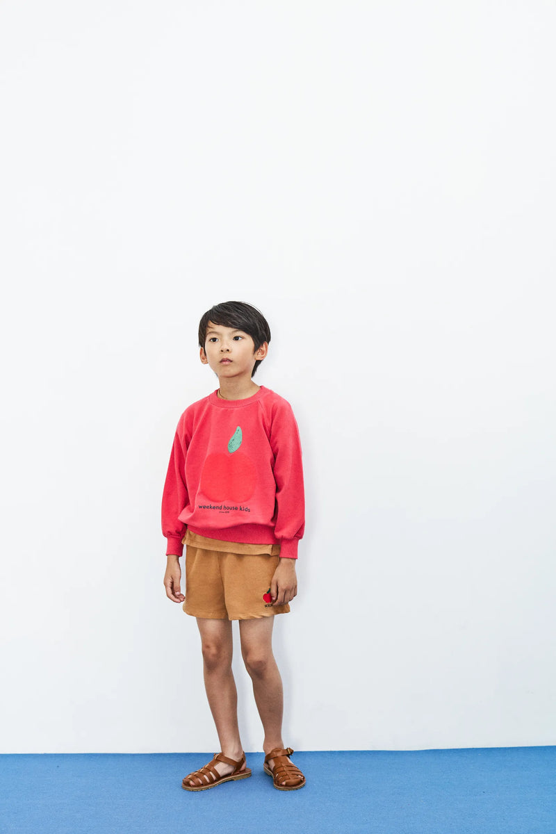 Apple sweatshirt