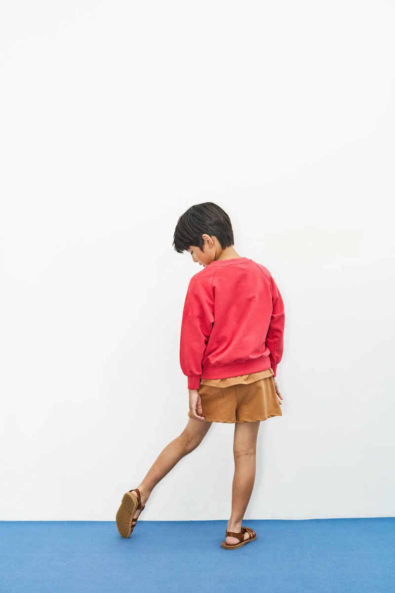 Apple sweatshirt