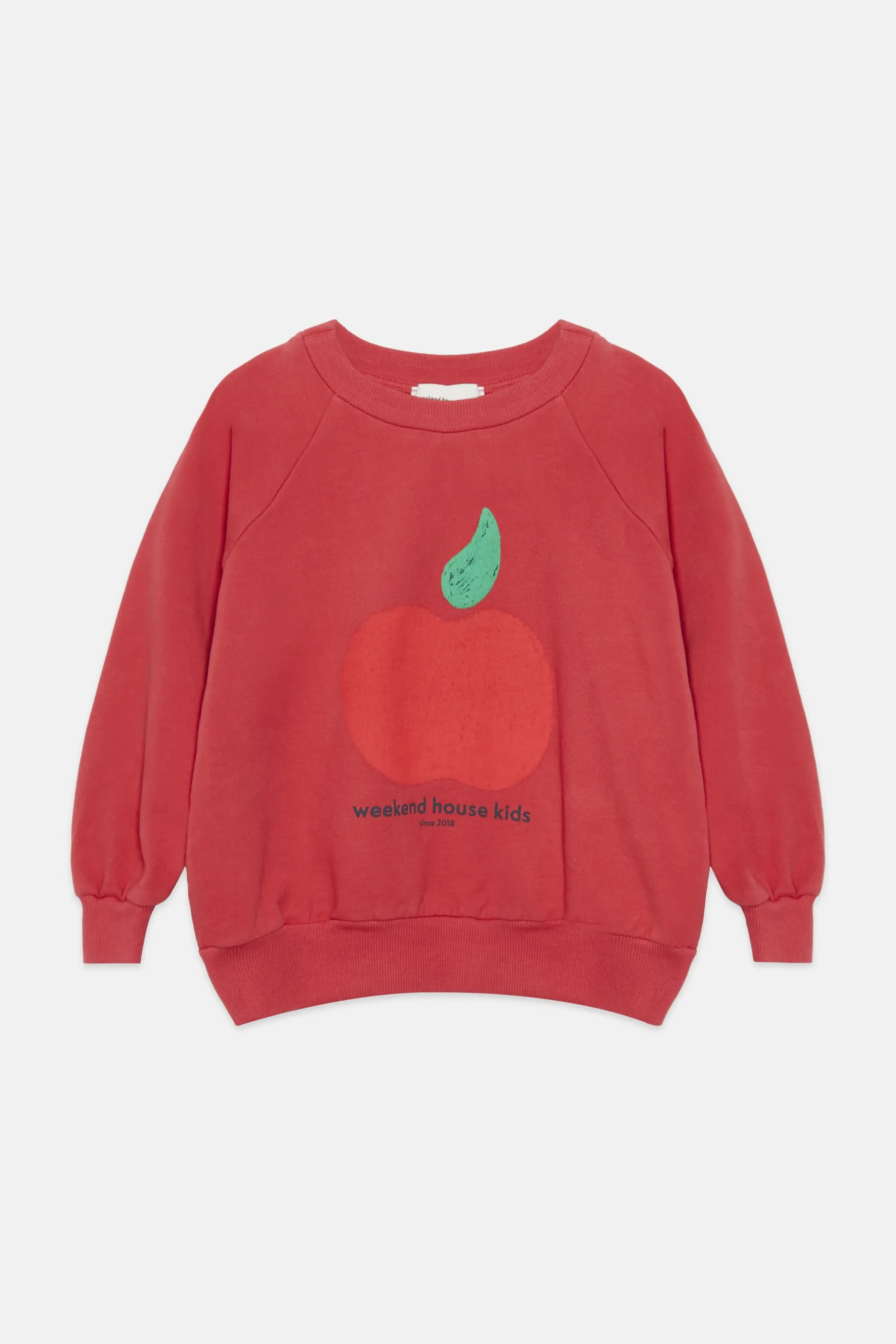 Apple sweatshirt