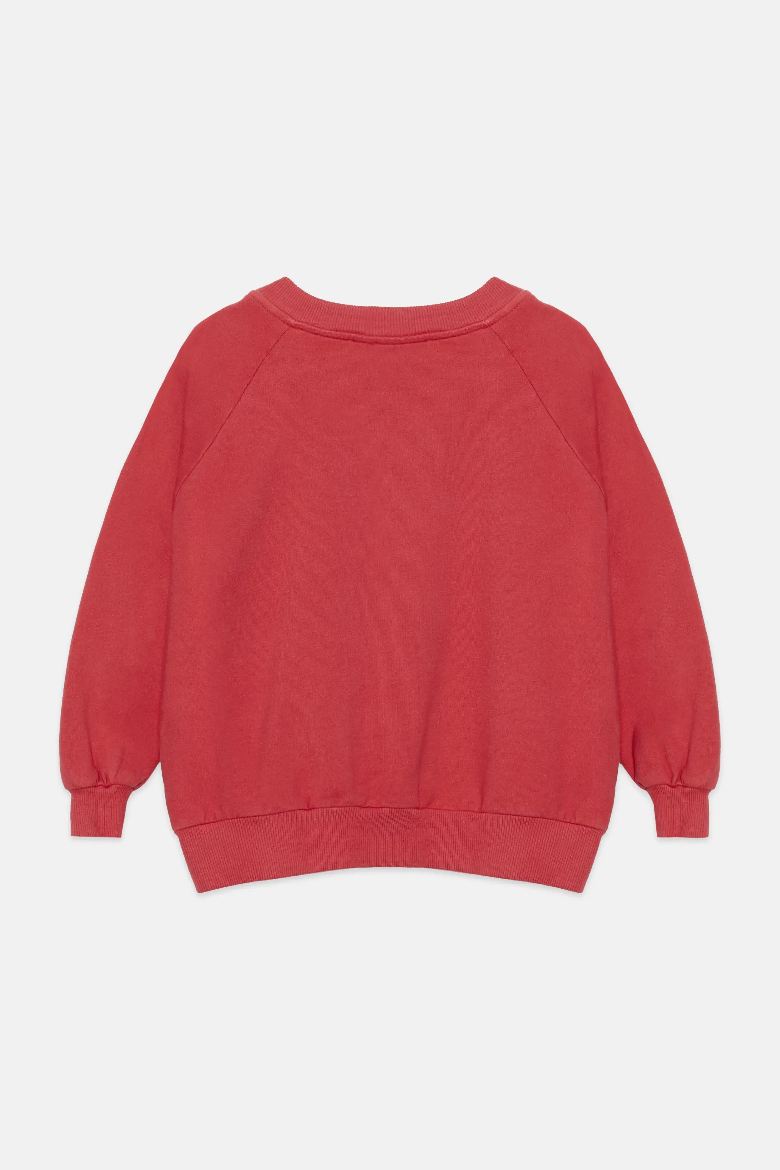 Apple sweatshirt