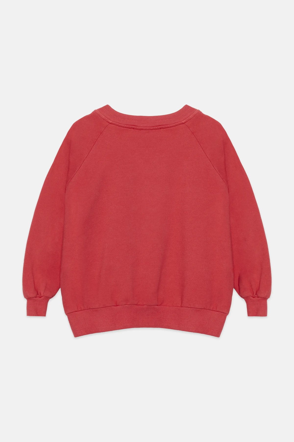 Apple sweatshirt