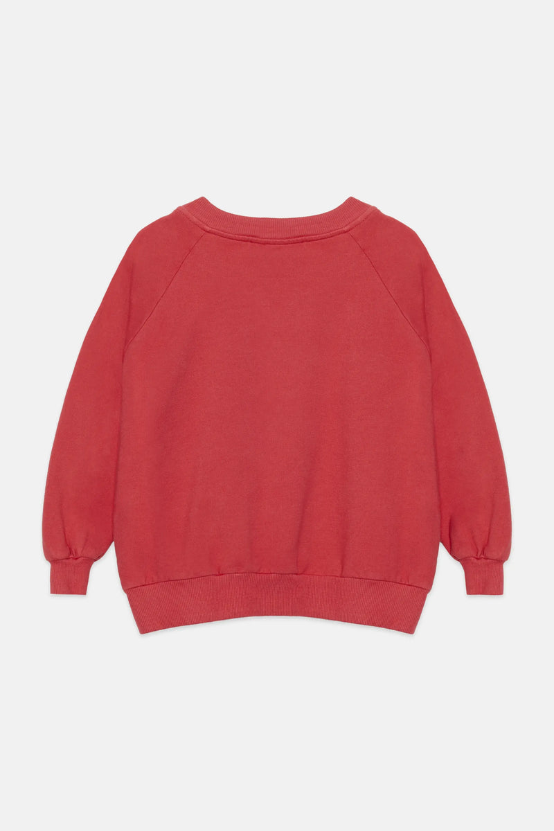 Apple sweatshirt