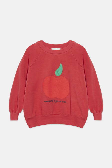 Apple sweatshirt