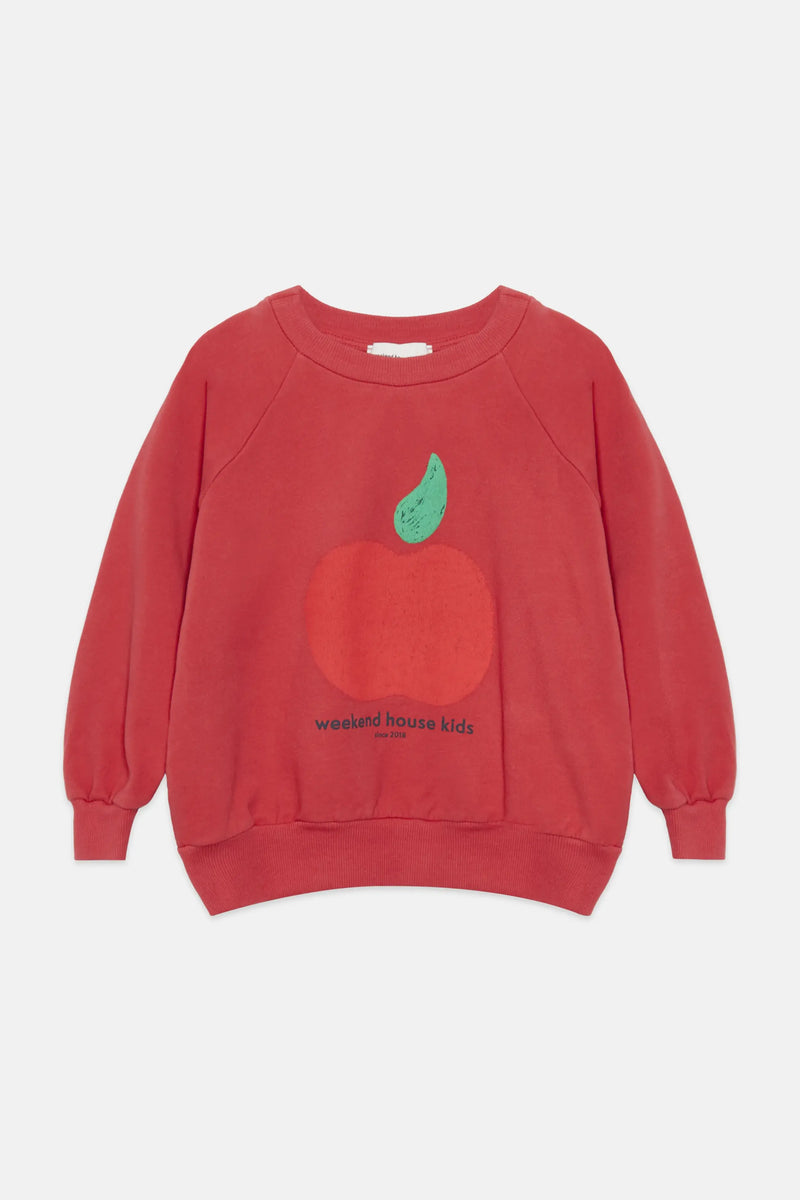 Apple sweatshirt