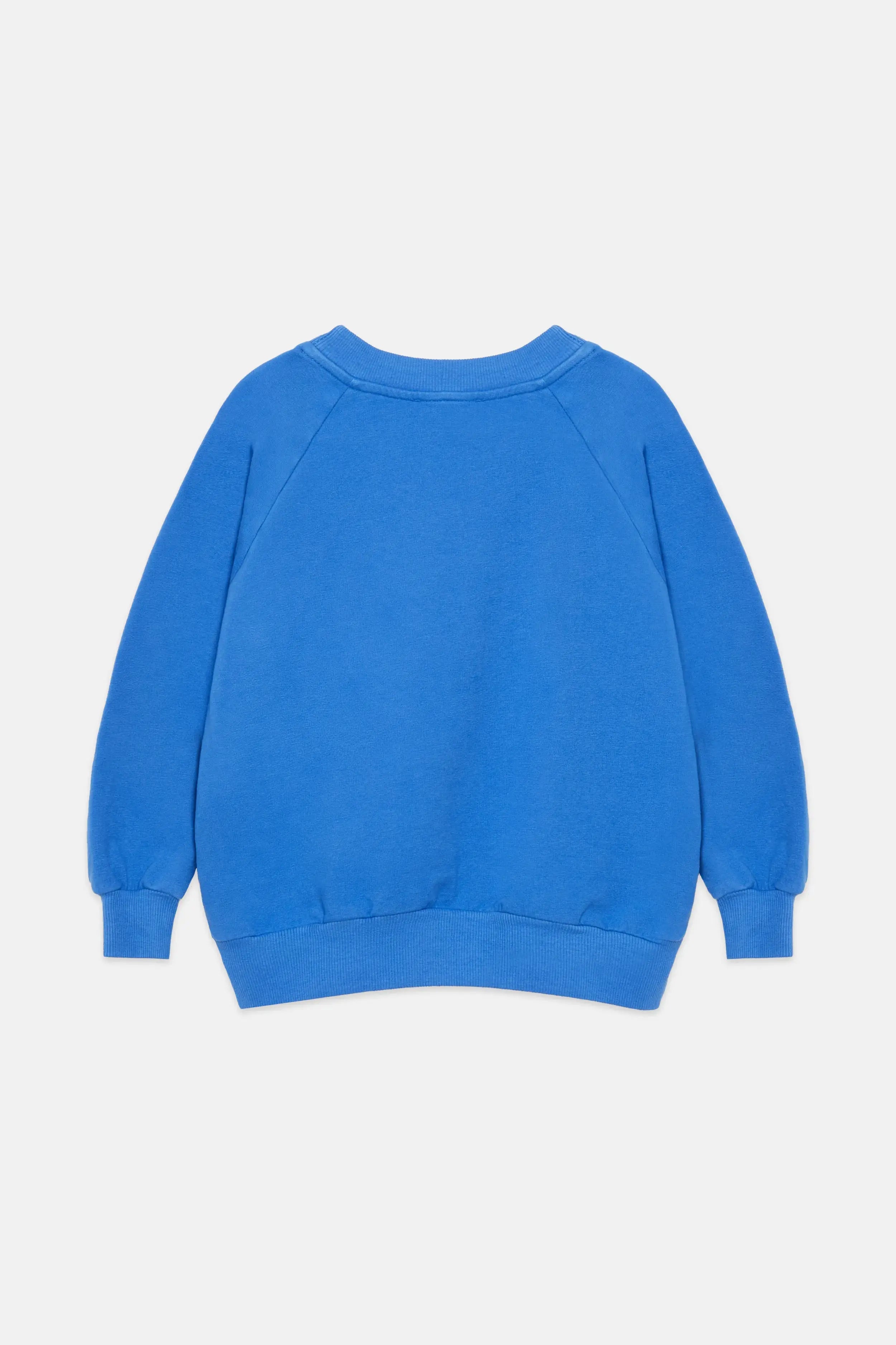 WHK sweatshirt (Azulin)