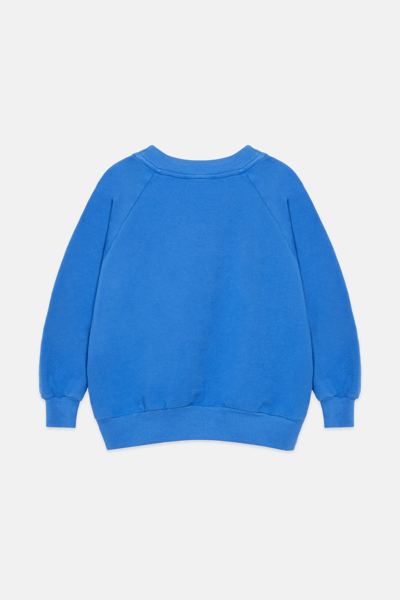 WHK sweatshirt (Azulin)