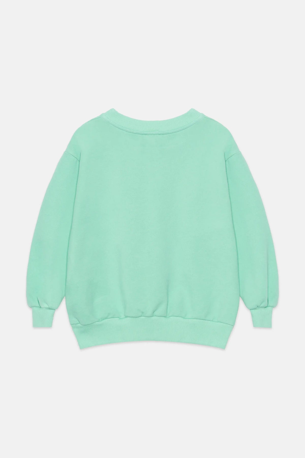 Fish shape sweatshirt (Mint)