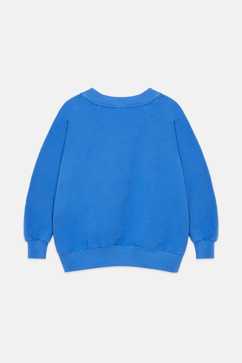 Swan sweatshirt