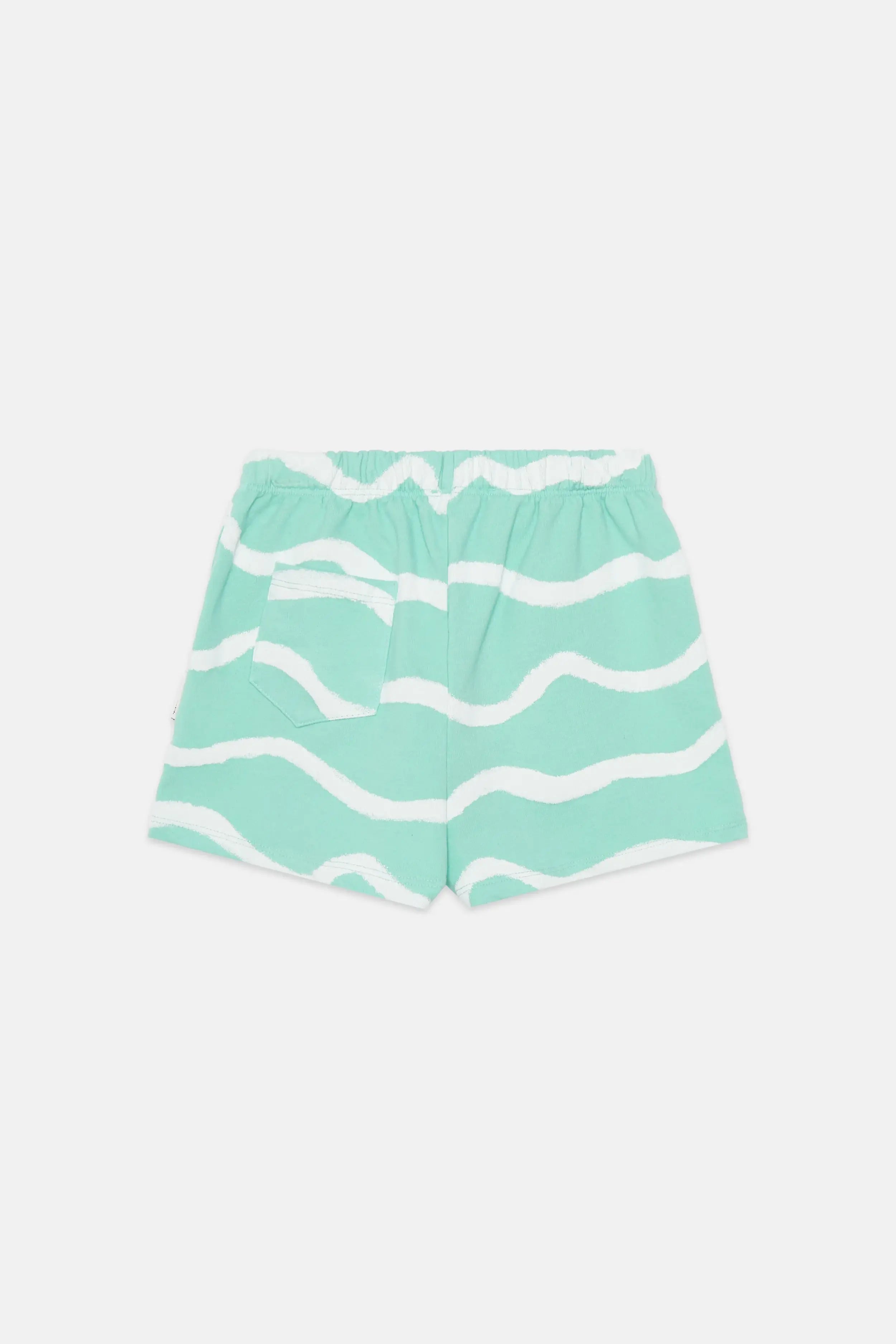 Waves shorts (Mint)