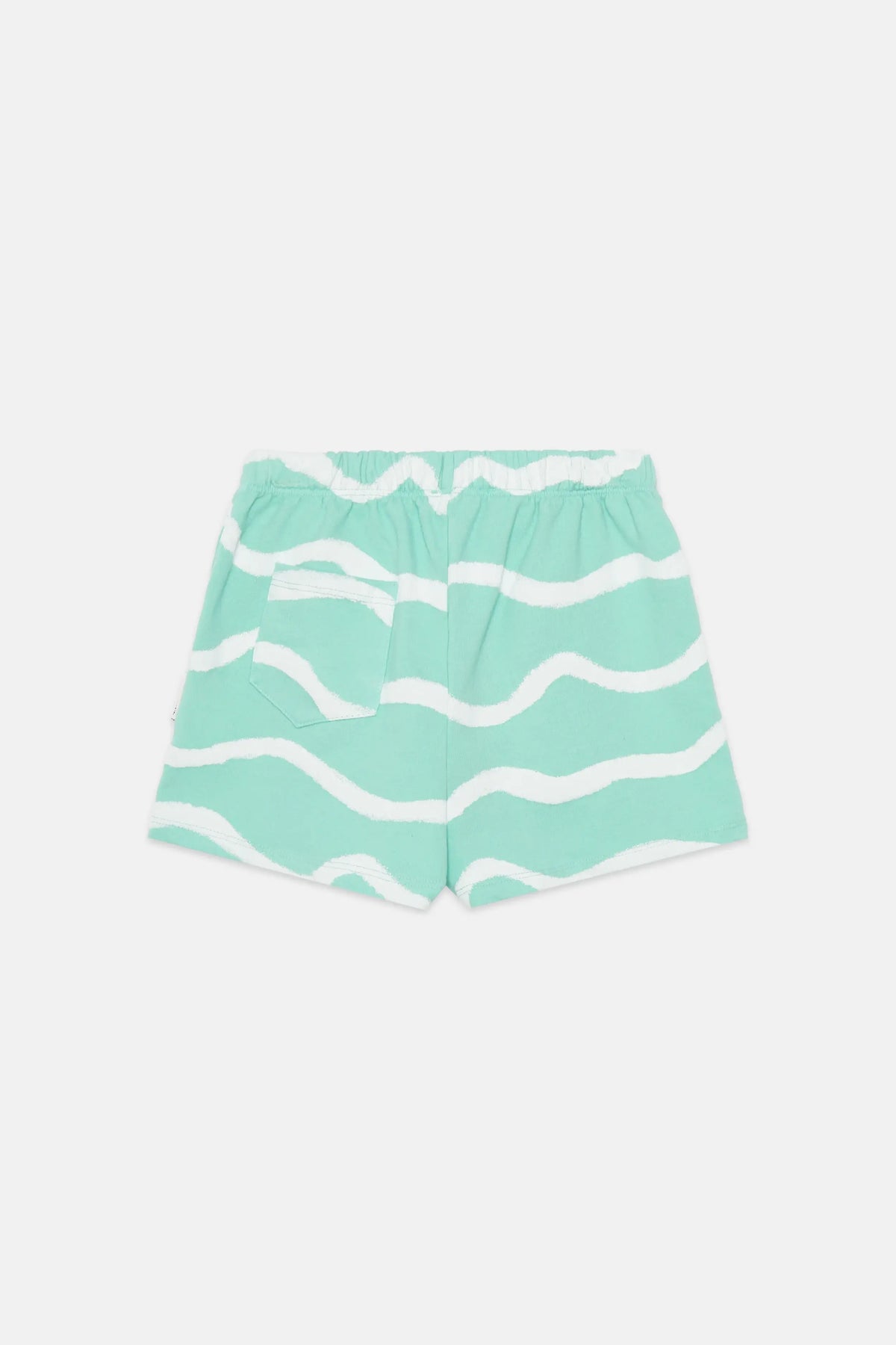 Waves shorts (Mint)