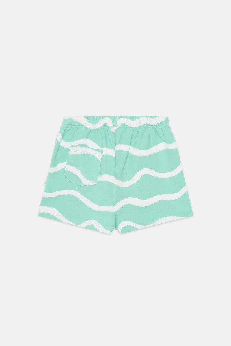 Waves shorts (Mint)