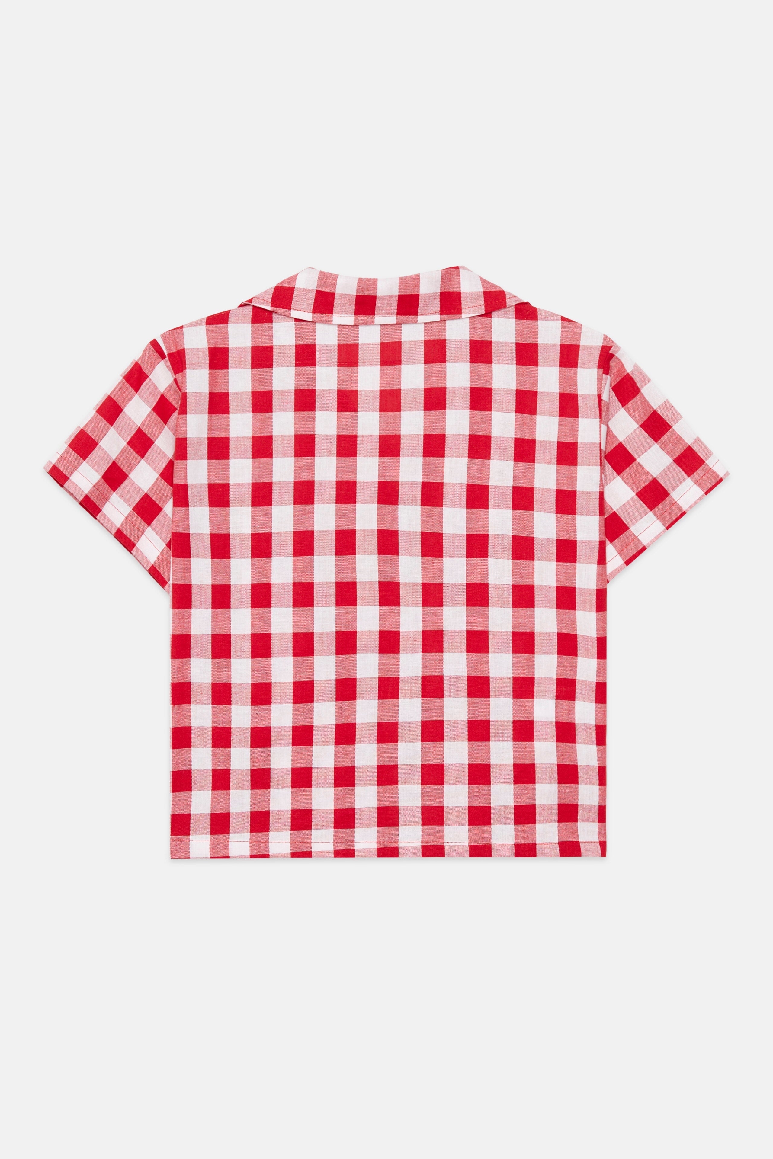 Apple shirt