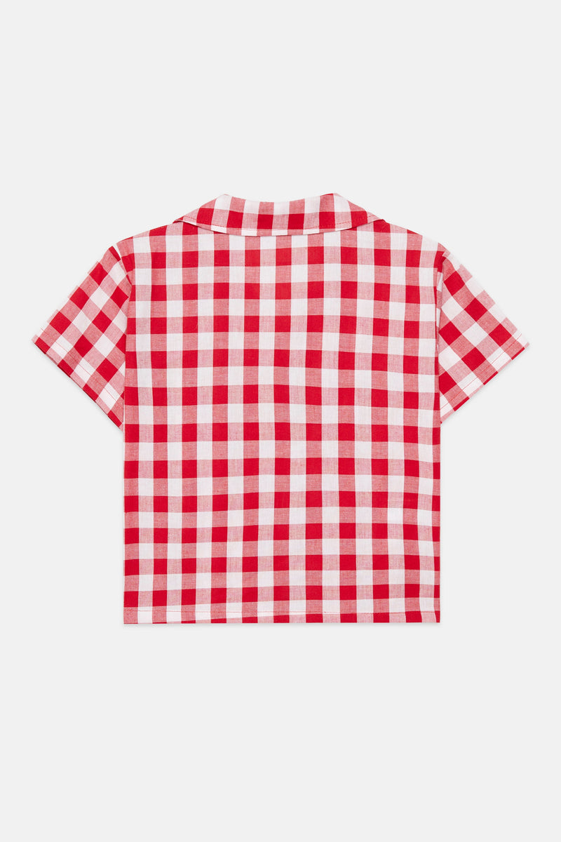 Apple shirt