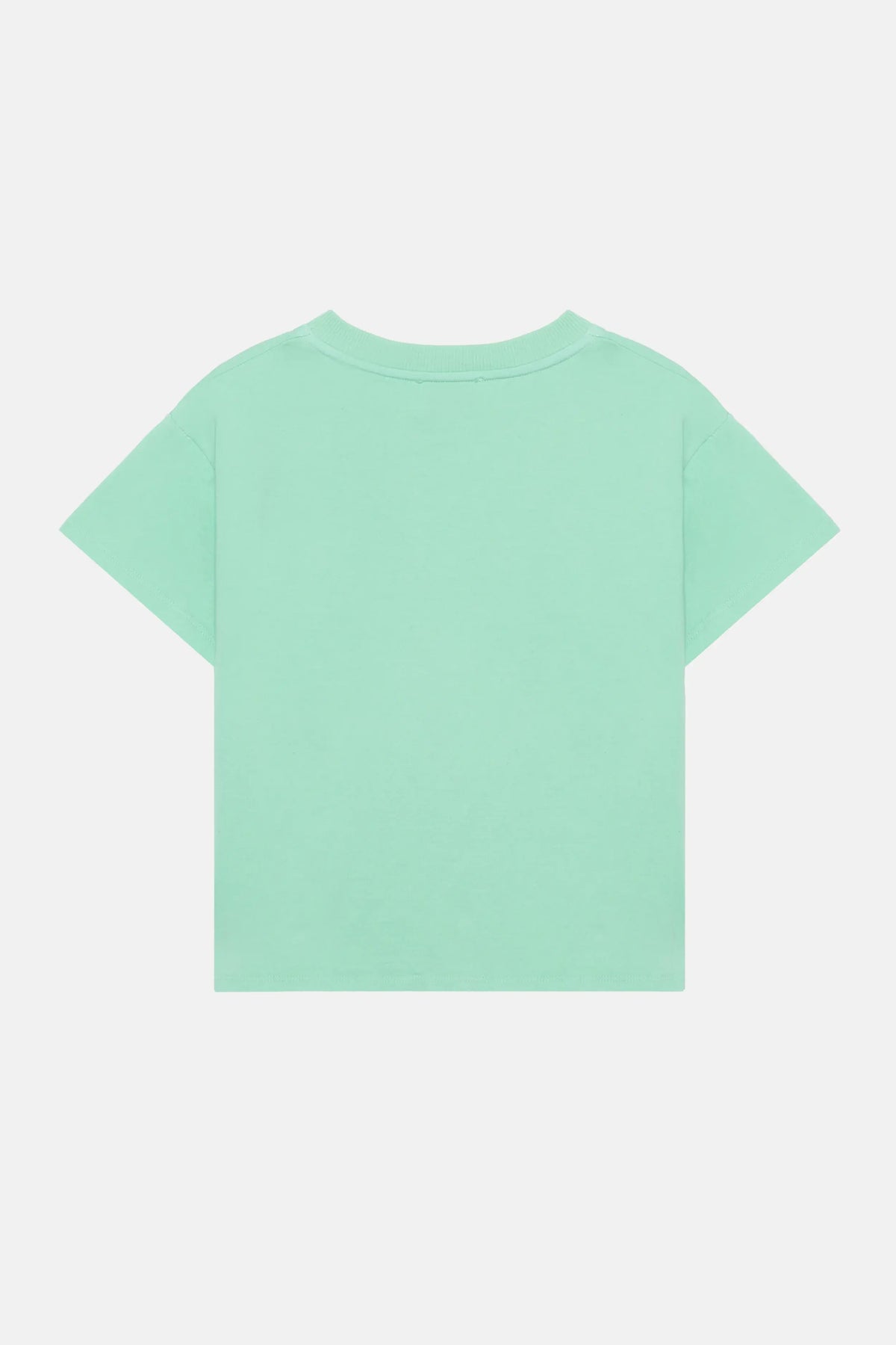 Fish t-shirt