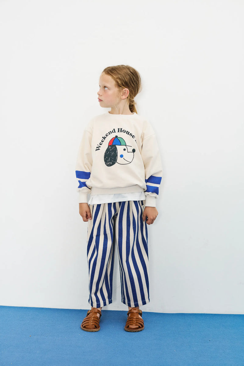Blue stripped canvas pants