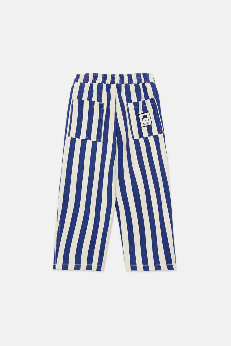 Blue stripped canvas pants