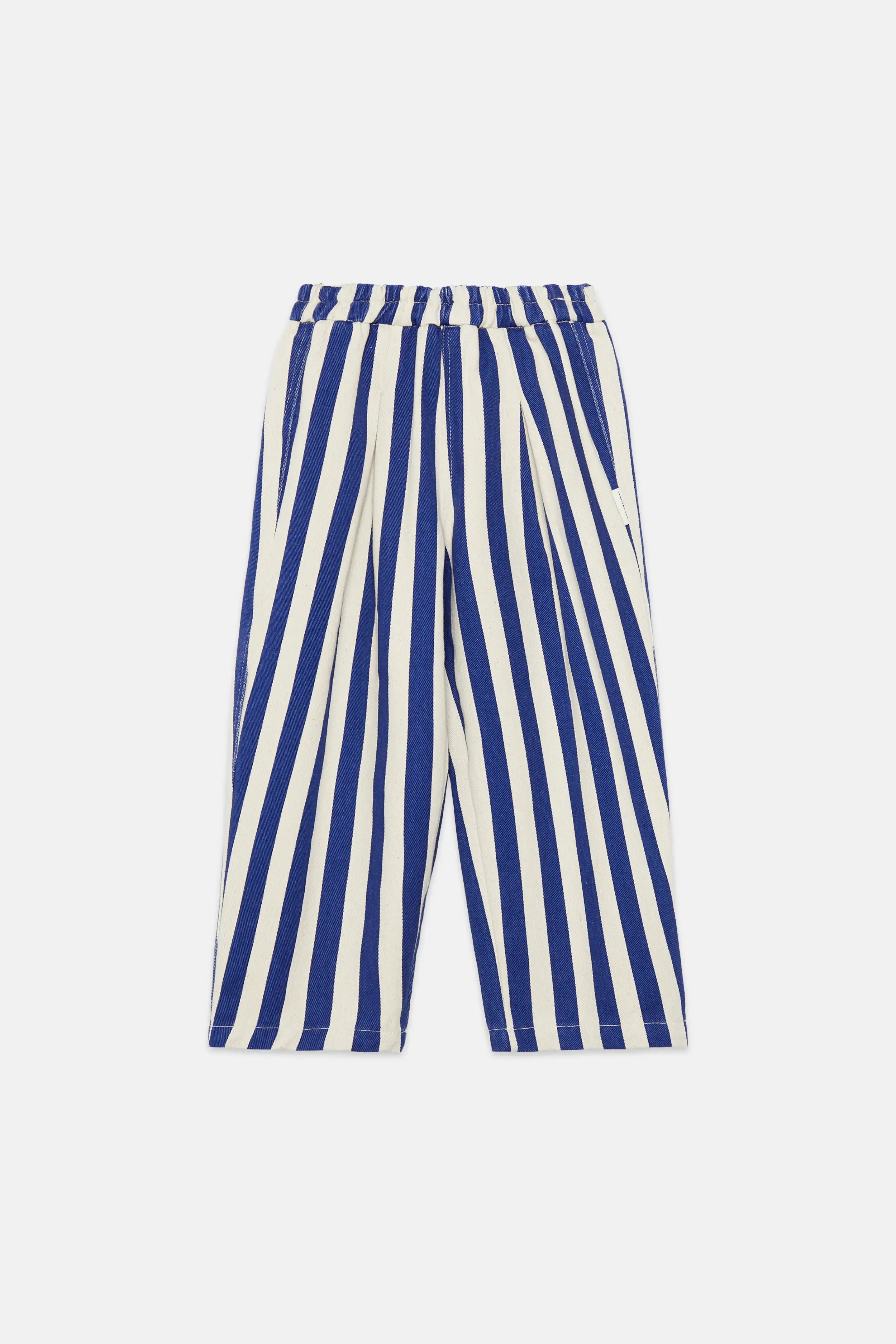 Blue stripped canvas pants