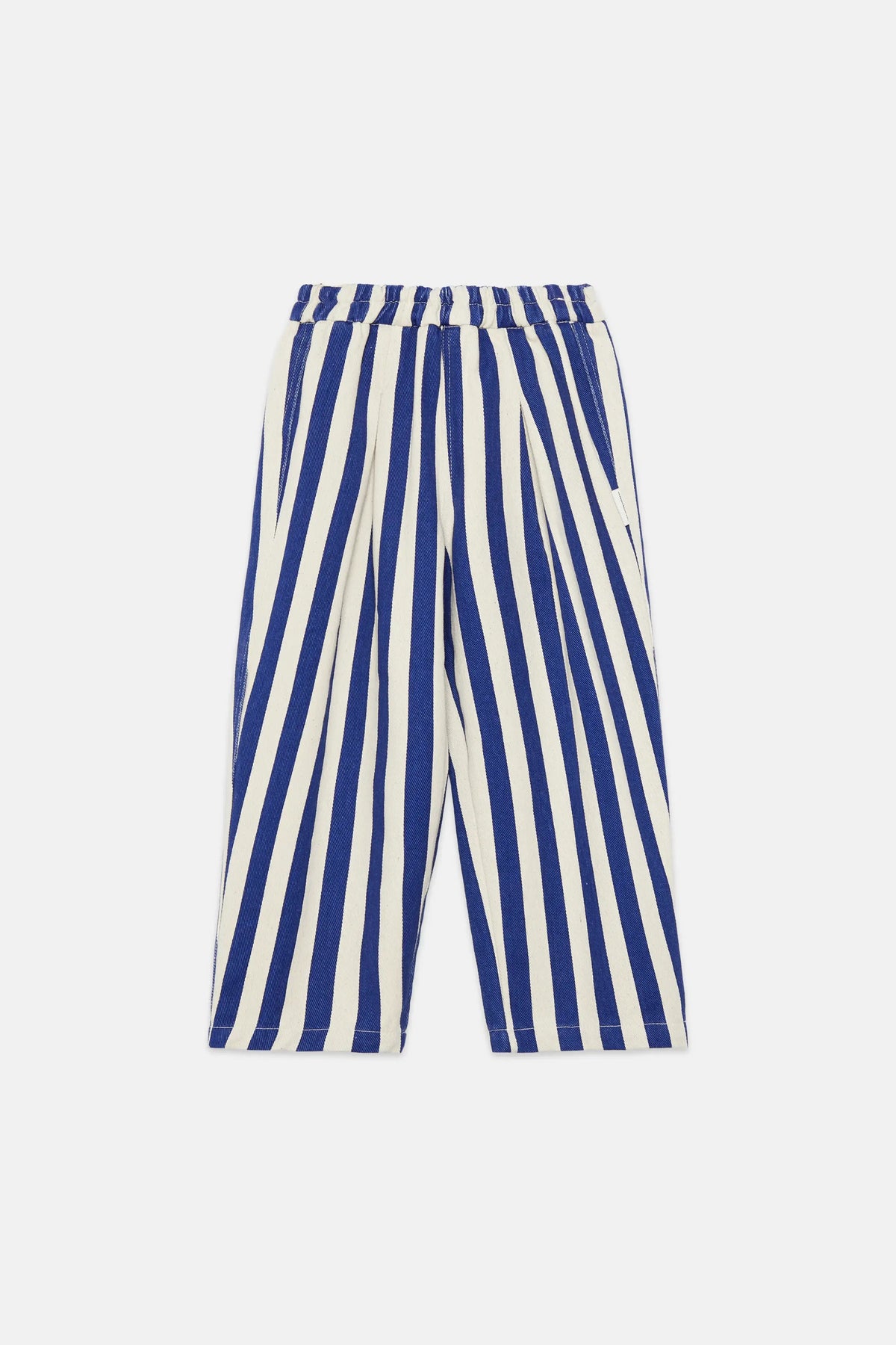 Blue stripped canvas pants