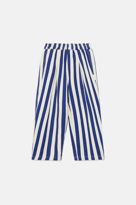 Blue stripped canvas pants