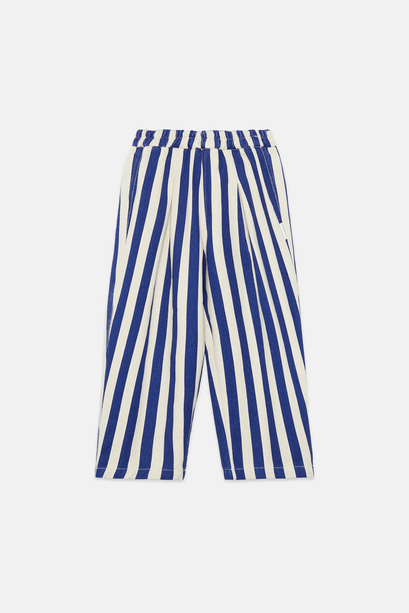 Blue stripped canvas pants