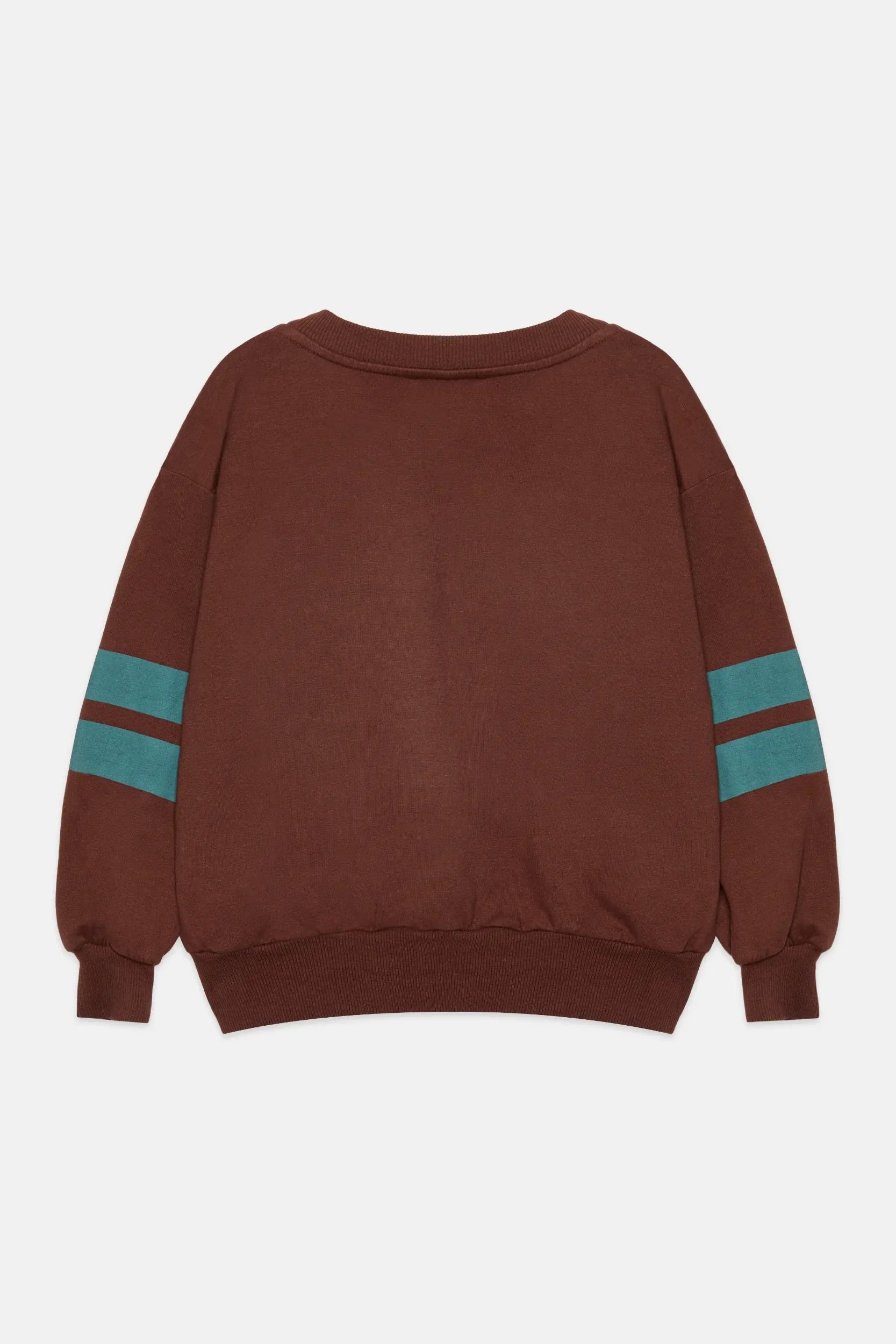 City dog sweatshirt