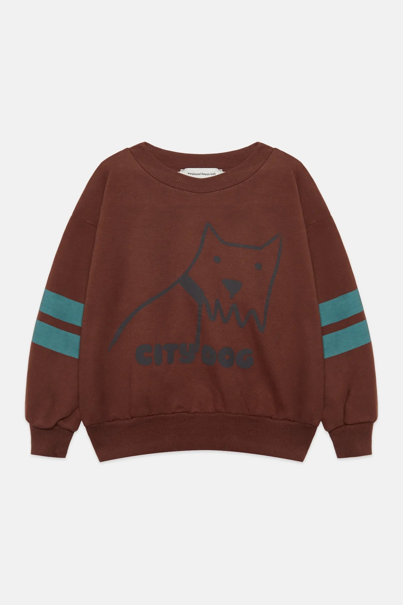 City dog sweatshirt