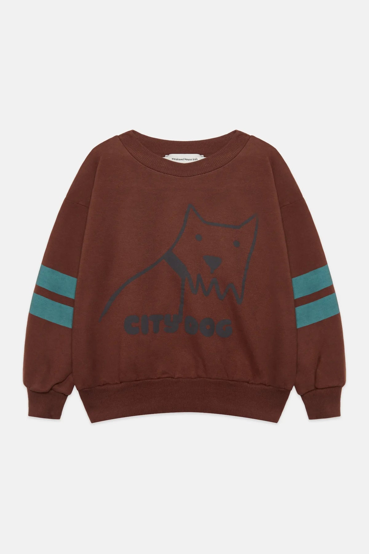 City dog sweatshirt