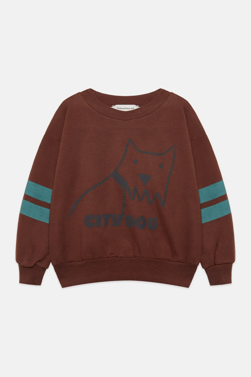 City dog sweatshirt
