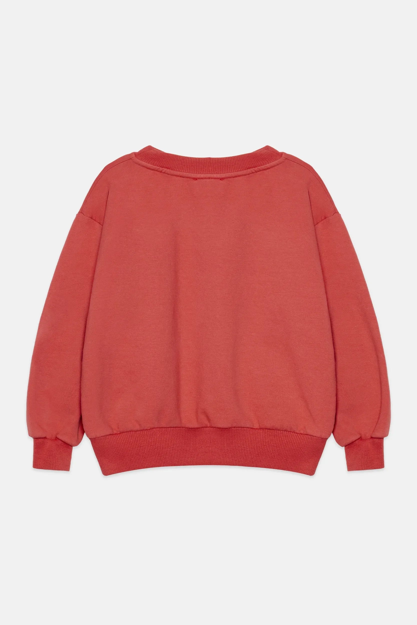 Pom pom dog sweatshirt