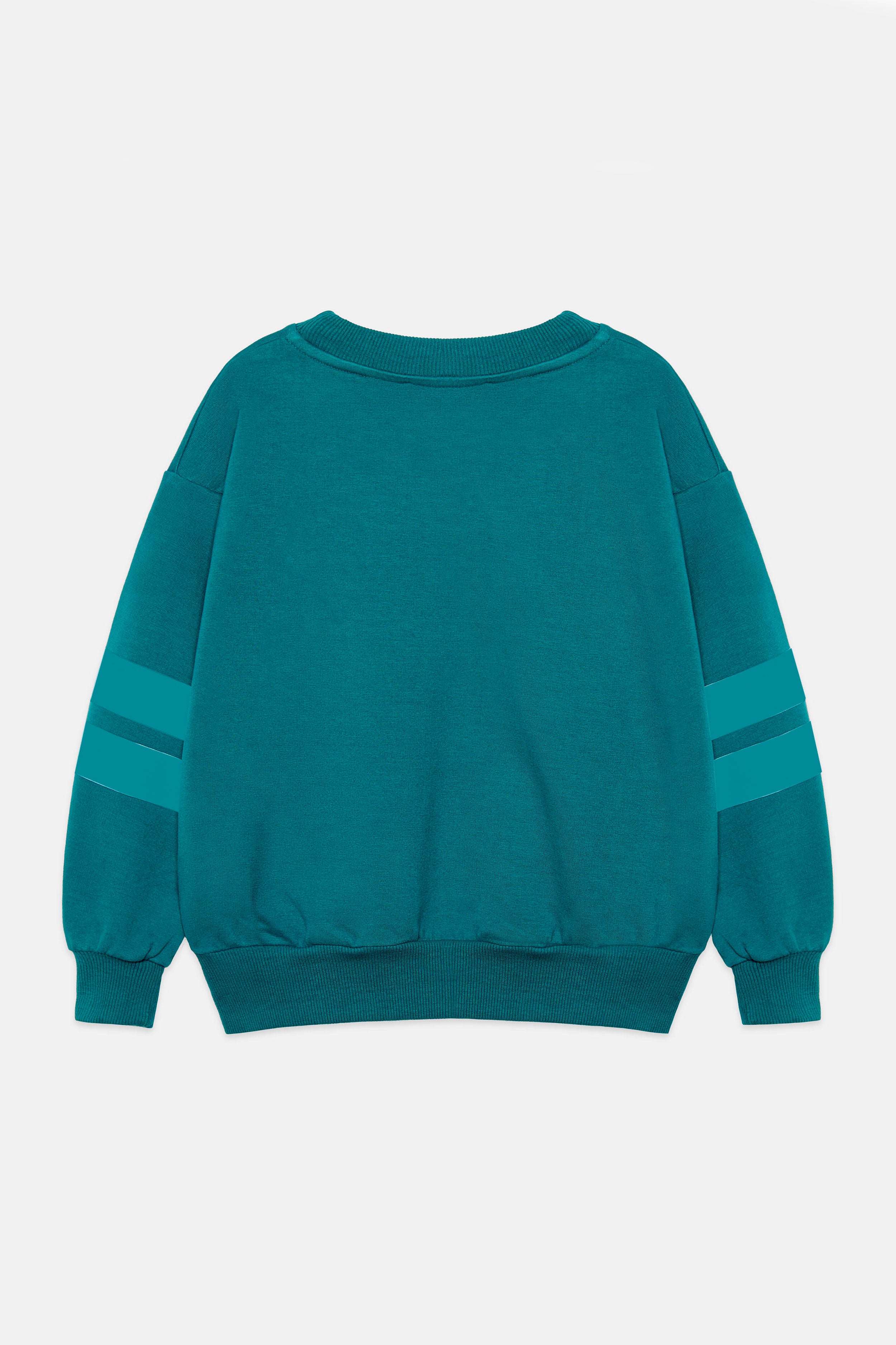City dog stripes sweatshirt