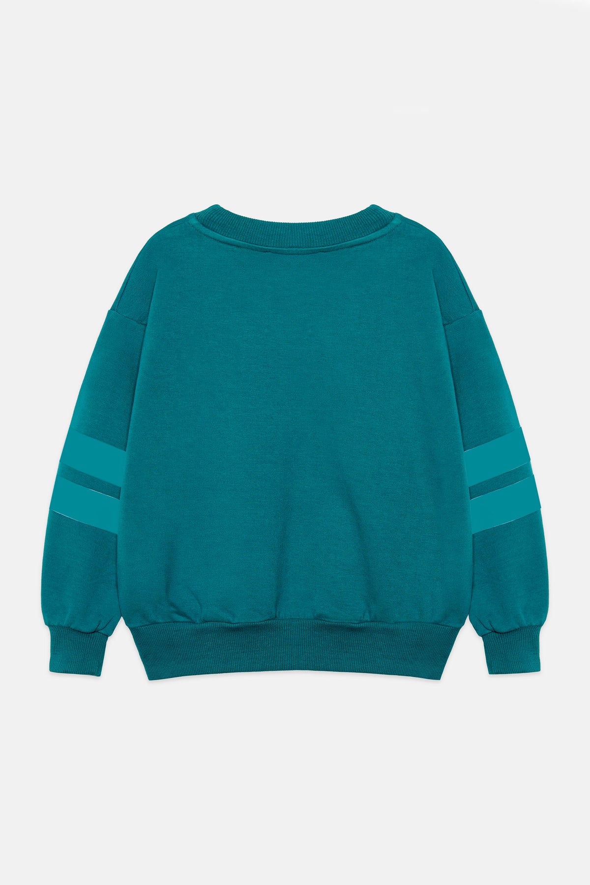 City dog stripes sweatshirt